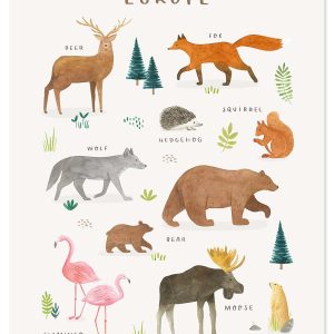Lilipinso Living Earth Poster – Dieren van Europa