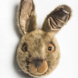 Wild and Soft Dierenkop – Haas