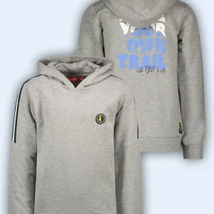 Hoody Held Grijs Melé