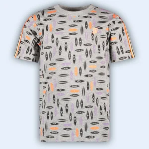 T-shirt Desmond Grey Melee